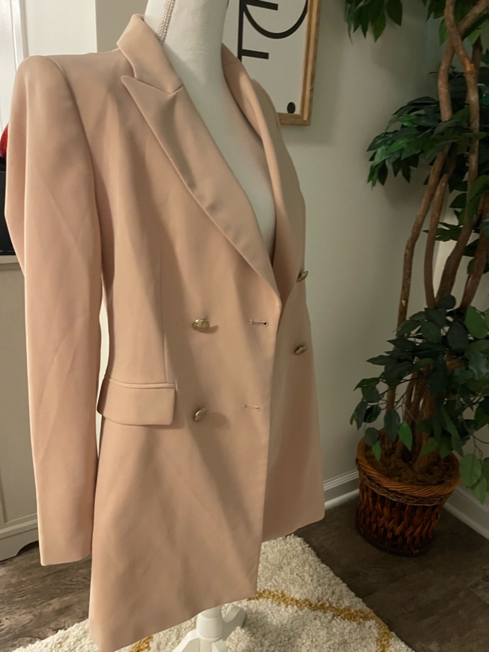 Zara Double-Breasted Blazer in Soft Blush